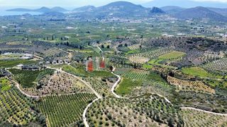 Αγροτεμάχια 5.000 τ.μ. για πώληση, Αργολίδα, Ναύπλιο-thumb-10