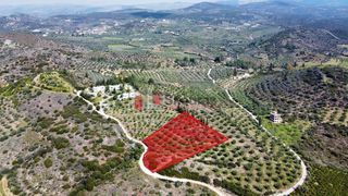 Αγροτεμάχια 5.000 τ.μ. για πώληση, Αργολίδα, Ναύπλιο-thumb-6