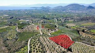 Αγροτεμάχια 5.000 τ.μ. για πώληση, Αργολίδα, Ναύπλιο-thumb-22