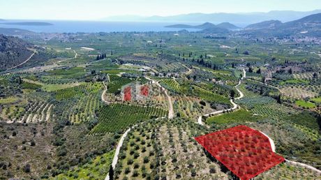 Αγροτεμάχια 5.000 τ.μ. για πώληση