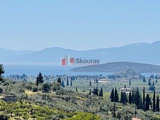 Αγροτεμάχια 5.000 τ.μ. για πώληση, Αργολίδα, Ναύπλιο-thumb-2