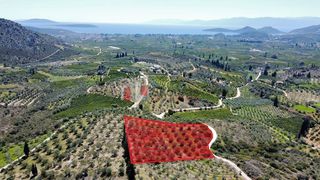 Αγροτεμάχια 5.000 τ.μ. για πώληση, Αργολίδα, Ναύπλιο-thumb-7