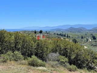 Αγροτεμάχια 5.000 τ.μ. για πώληση, Αργολίδα, Ναύπλιο-thumb-15