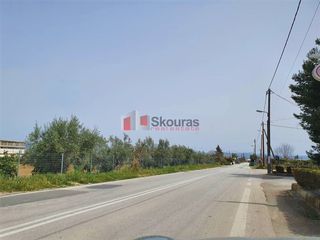 Αγροτεμάχια 15.000 τ.μ. για πώληση, Αργολίδα, Άργος-thumb-23