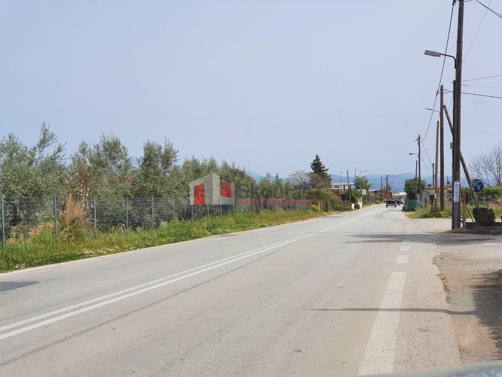 Αγροτεμάχια 15.000 τ.μ. προς πώληση, Άκοβα