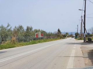 Αγροτεμάχια 15.000 τ.μ. για πώληση, Αργολίδα, Άργος-thumb-2