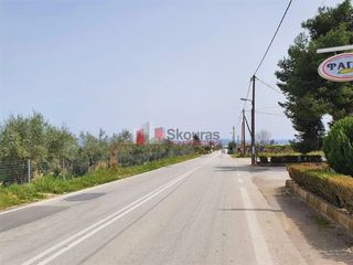 Αγροτεμάχια 15.000 τ.μ. για πώληση