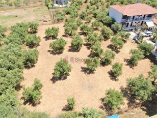 Οικόπεδο 800 τ.μ. για πώληση, Μεσσηνία, Λεύκτρος-thumb-24