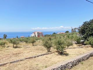 Οικόπεδο 803,63 τ.μ. για πώληση, Μεσσηνία, Λεύκτρος-thumb-4