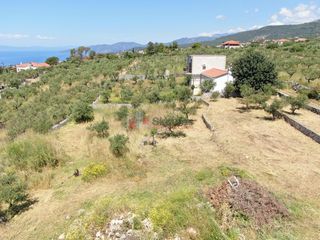 Οικόπεδο 803,63 τ.μ. για πώληση, Μεσσηνία, Λεύκτρος-thumb-16