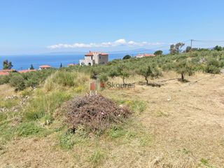 Οικόπεδο 803,63 τ.μ. για πώληση, Μεσσηνία, Λεύκτρος-thumb-19