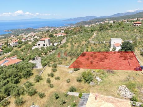 Οικόπεδο 803,63 τ.μ. για πώληση