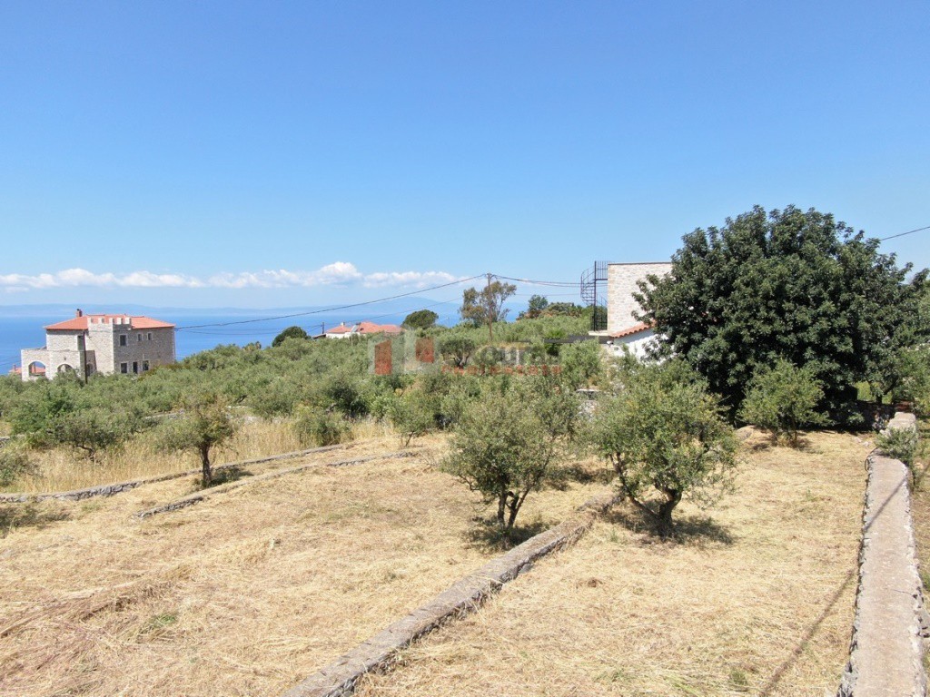 Οικόπεδο 803,63 τ.μ. προς πώληση, Νεοχώρι Λεύκτρου