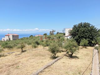 Οικόπεδο 803,63 τ.μ. για πώληση, Μεσσηνία, Λεύκτρος-thumb-2