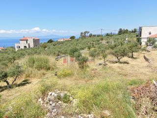 Οικόπεδο 803,63 τ.μ. για πώληση, Μεσσηνία, Λεύκτρος-thumb-20