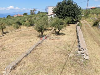 Οικόπεδο 803,63 τ.μ. για πώληση, Μεσσηνία, Λεύκτρος-thumb-23