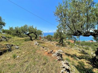 Οικόπεδο 5.092,71 τ.μ. για πώληση, Μεσσηνία, Καλαμάτα-thumb-22