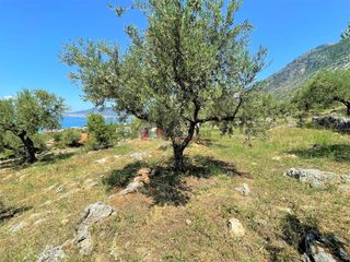 Οικόπεδο 5.092,71 τ.μ. για πώληση, Μεσσηνία, Καλαμάτα-thumb-23