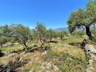 Οικόπεδο 5.092,71 τ.μ. για πώληση, Μεσσηνία, Καλαμάτα-thumb-6