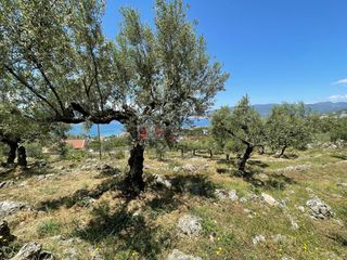 Οικόπεδο 5.092,71 τ.μ. για πώληση, Μεσσηνία, Καλαμάτα-thumb-12