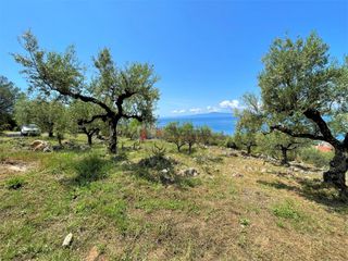 Οικόπεδο 5.092,71 τ.μ. για πώληση, Μεσσηνία, Καλαμάτα-thumb-14
