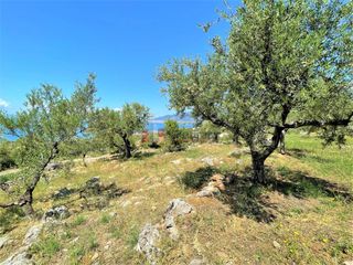 Οικόπεδο 5.092,71 τ.μ. για πώληση, Μεσσηνία, Καλαμάτα-thumb-10