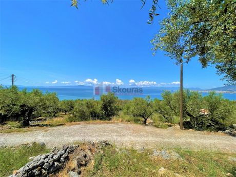 Οικόπεδο 5.092,71 τ.μ. για πώληση