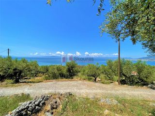 Οικόπεδο 5.092,71 τ.μ. για πώληση