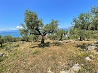 Οικόπεδο 5.092,71 τ.μ. για πώληση, Μεσσηνία, Καλαμάτα-thumb-19