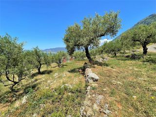 Οικόπεδο 5.092,71 τ.μ. για πώληση, Μεσσηνία, Καλαμάτα-thumb-11
