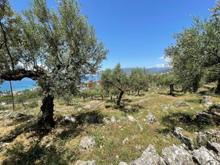 Οικόπεδο 5.092,71 τ.μ. για πώληση, Μεσσηνία, Καλαμάτα-thumb-21
