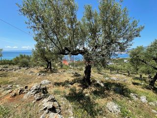 Οικόπεδο 5.092,71 τ.μ. για πώληση, Μεσσηνία, Καλαμάτα-thumb-18