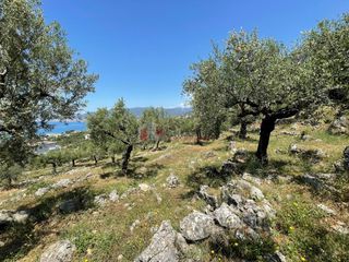 Οικόπεδο 5.092,71 τ.μ. για πώληση, Μεσσηνία, Καλαμάτα-thumb-20