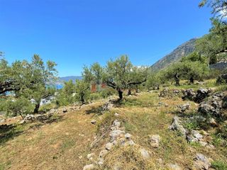 Οικόπεδο 5.092,71 τ.μ. για πώληση, Μεσσηνία, Καλαμάτα-thumb-17
