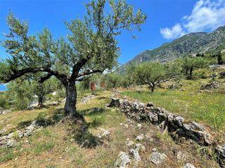 Οικόπεδο 5.092,71 τ.μ. για πώληση, Μεσσηνία, Καλαμάτα-thumb-15