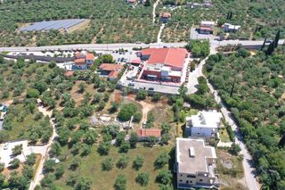 Οικόπεδο 2.100 τ.μ. για πώληση, Μεσσηνία, Λεύκτρος-thumb-10