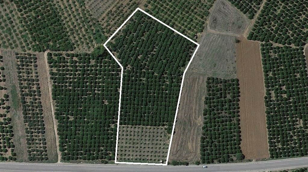 Αγροτεμάχια 11.900 τ.μ. προς πώληση, Νέο Ηραίο