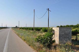 Αγροτεμάχια 11.900 τ.μ. για πώληση