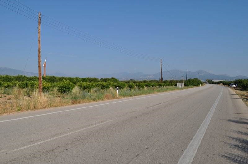 Αγροτεμάχια 11.900 τ.μ. προς πώληση, Νέο Ηραίο