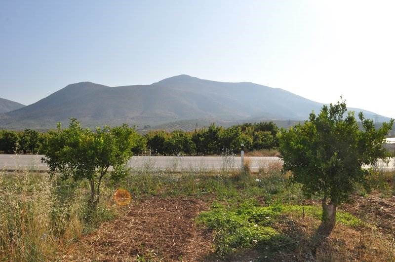 Αγροτεμάχια 11.900 τ.μ. προς πώληση, Νέο Ηραίο