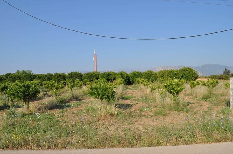 Αγροτεμάχια 11.900 τ.μ. προς πώληση, Νέο Ηραίο