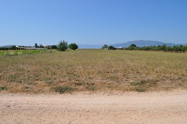Οικόπεδο 7.200 τ.μ. προς πώληση, Κέντρο Νέας Κίου