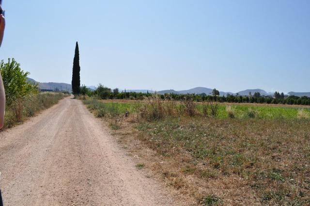 Οικόπεδο 7.200 τ.μ. για πώληση, Αργολίδα, Νέα Κίος