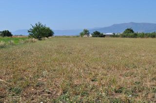 Οικόπεδο 7.200 τ.μ. για πώληση, Αργολίδα, Νέα Κίος-thumb-3