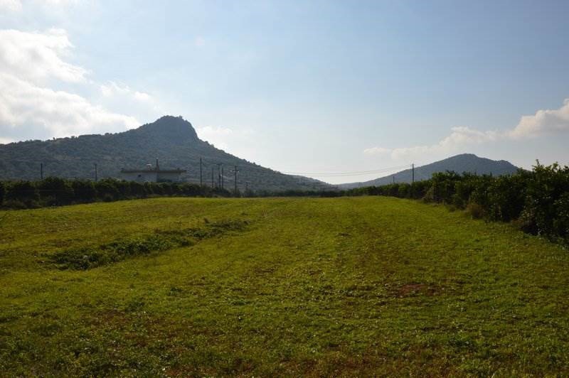 Αγροτεμάχια 4.770 τ.μ. προς πώληση, Άγιος Αδριανός