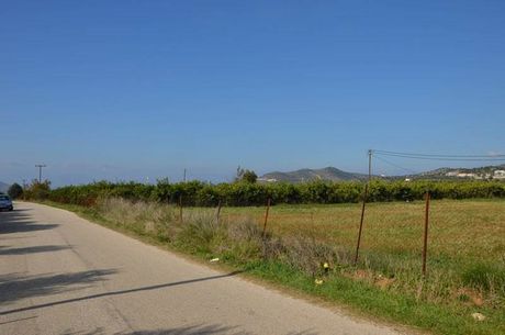 Αγροτεμάχια 4.770τ.μ. για πώληση-Νέα τίρυνθα