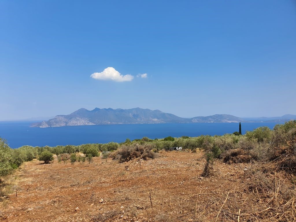 Αγροτεμάχια 7.227 τ.μ. προς πώληση, Δρυόπη Τροιζήνας