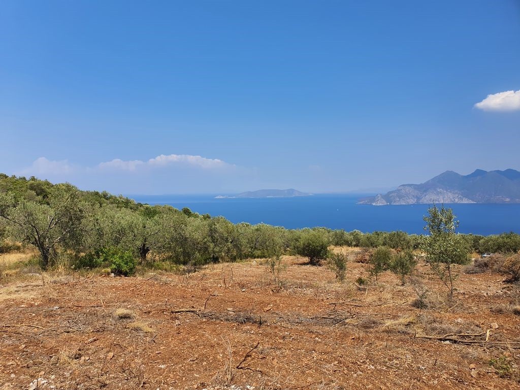 Αγροτεμάχια 7.227 τ.μ. προς πώληση, Δρυόπη Τροιζήνας