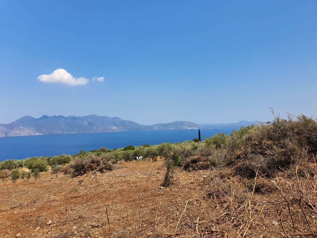 Αγροτεμάχια 7.227 τ.μ. προς πώληση, Δρυόπη Τροιζήνας