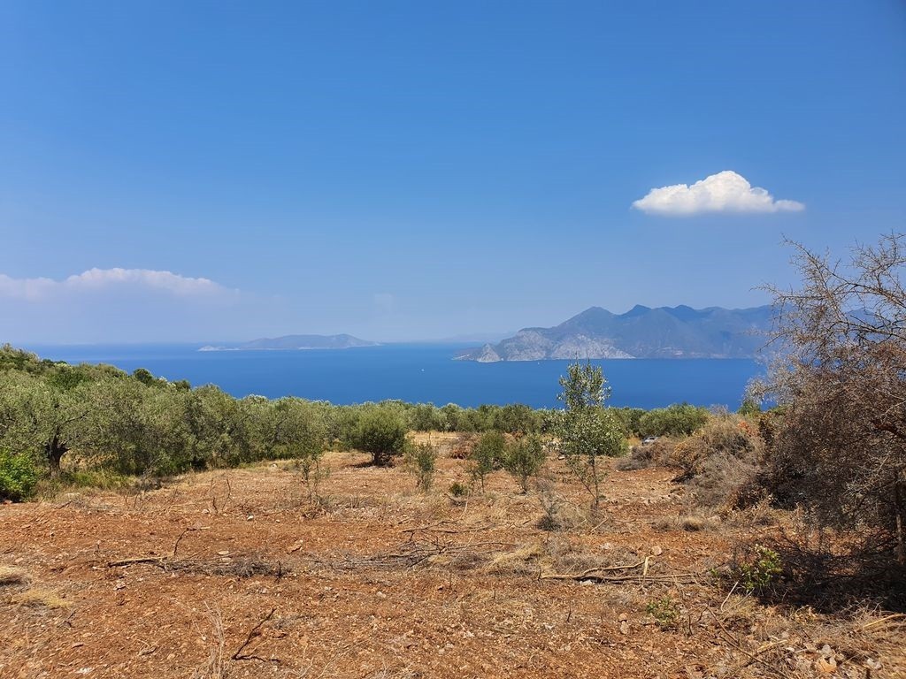 Αγροτεμάχια 7.227 τ.μ. προς πώληση, Δρυόπη Τροιζήνας